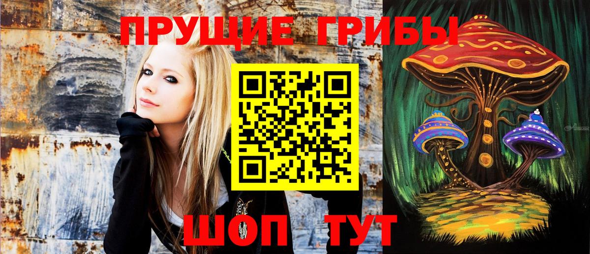 Псилоцибиновые грибы Psilocybe Бугуруслан
